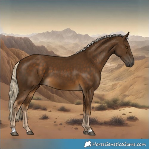 Horse Color:Chocolate Palomino 