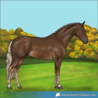 Horse Color:Chocolate Palomino