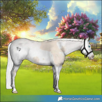 Horse Color:Cremello Splash  and Cremello Splash 