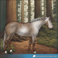 Horse Color:Gray Liver Red Dun 