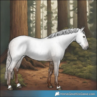 Horse Color:Gray Liver Red Dun 