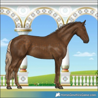 Horse Color:Chocolate Palomino
