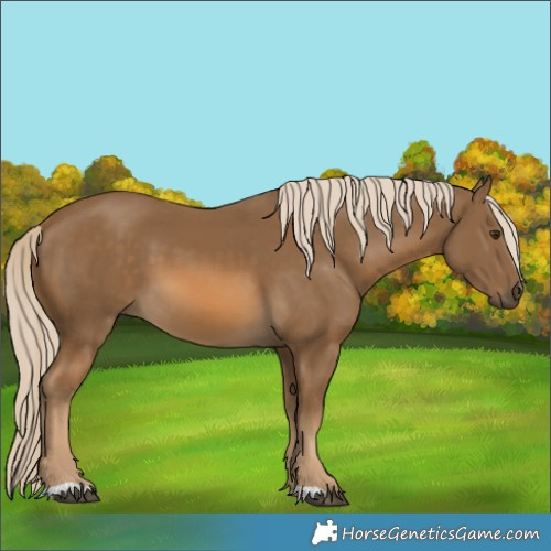 Horse Color:Chocolate Palomino 