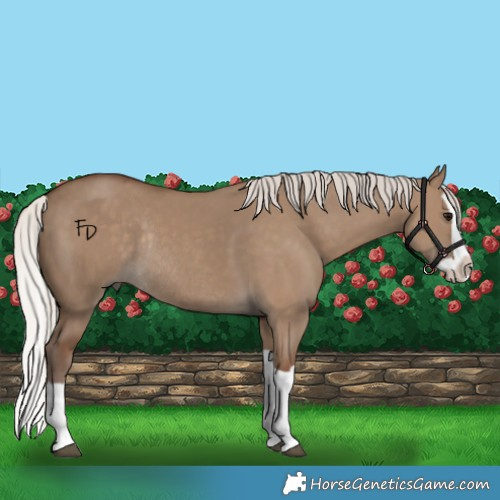 Horse Color:Silver Grullo Splash Rabicano 