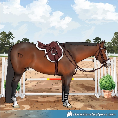 Horse Color:Brown 