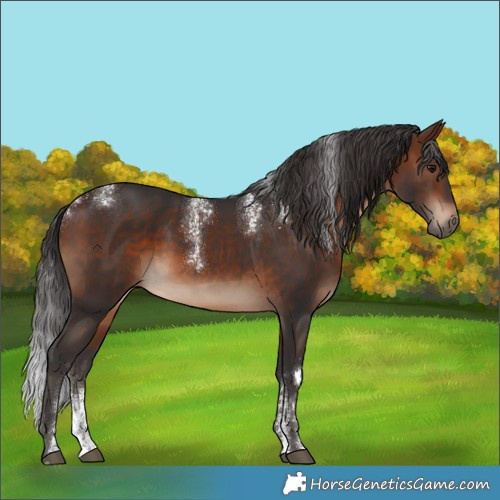 Horse Color:Powder White Brown Rabicano 