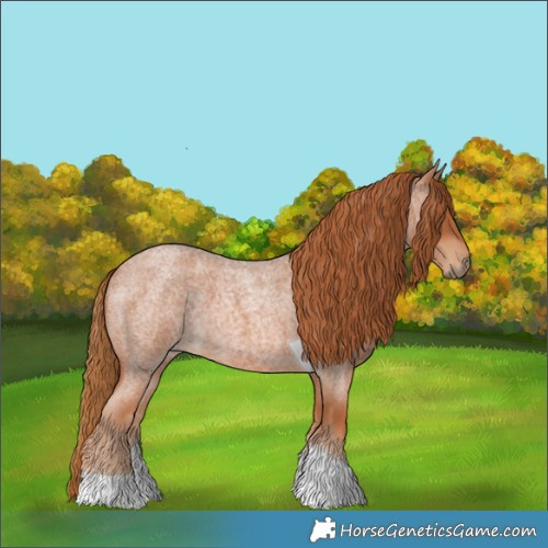 Horse Color:Red Roan Tobiano