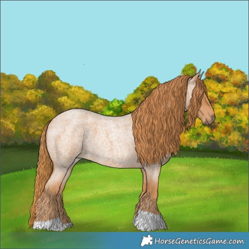 Horse Color:Red Roan Tobiano