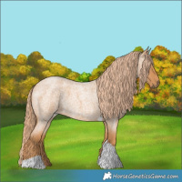 Horse Color:Red Roan Tobiano