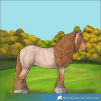 Horse Color:Red Roan Tobiano