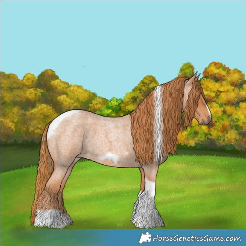 Horse Color:Red Roan Tobiano Frame 