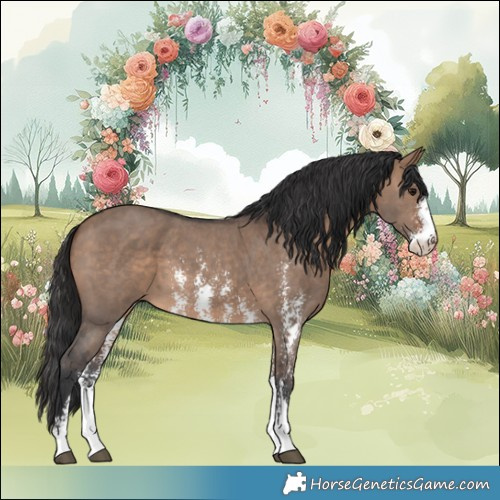 Horse Color:Brown Dun Sabino 