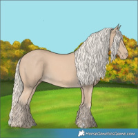 Horse Color:Cremello