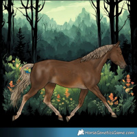 Horse Color:Chocolate Palomino 