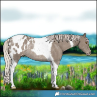 Horse Color:Silver Grullo Tobiano Blanket Rabicano