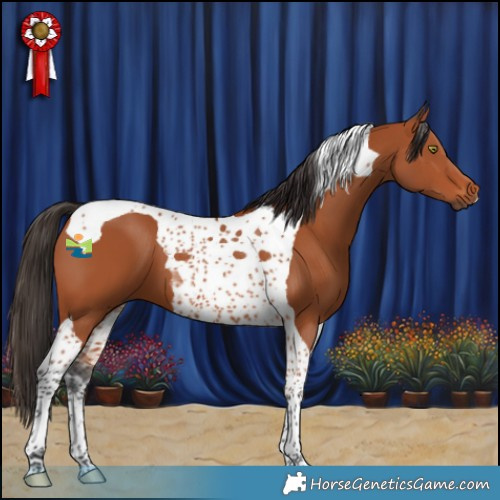 Horse Color:Bay Tobiano
