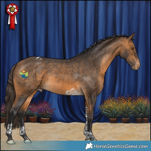 Horse Color:Buckskin Tobiano Appaloosa Rabicano 