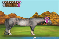 Horse Color:Bay Roan Splash  and Gray Black 