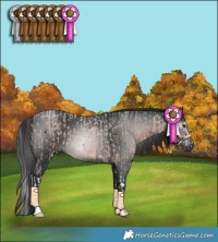 Horse Color:Bay Roan Splash and Gray Black