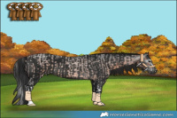 Horse Color:Bay Roan Splash  and Gray Black 