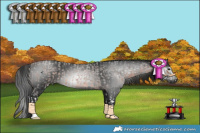 Horse Color:Bay Roan Splash  and Gray Black 