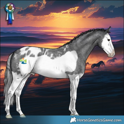 Horse Color:Blue Roan Splash Frame Blanket 