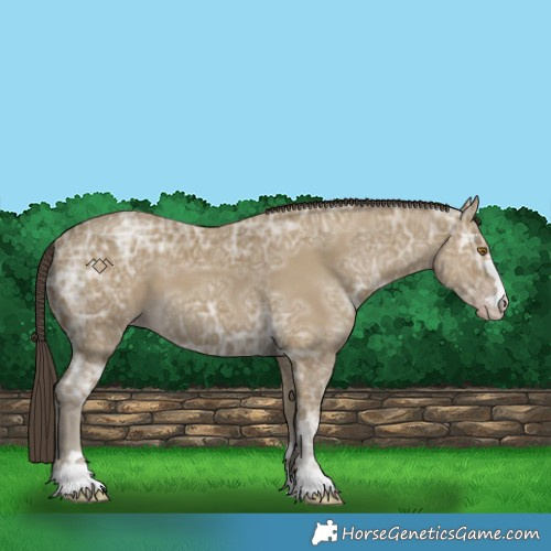 Horse Color:Classic Cream Champagne Ice 