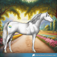 Horse Color:Gray Silver Black Tobiano 