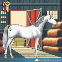 Horse Color:Gray Smoky Black Splash Frame Appaloosa 