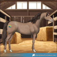 Horse Color:Classic Champagne 