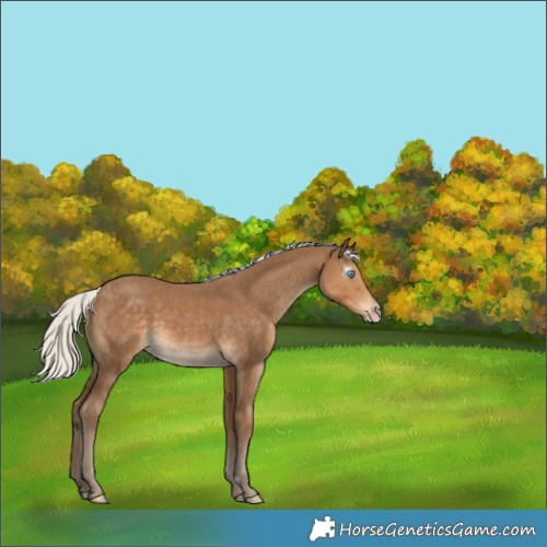 Horse Color:Gray Silver Smoky Creme 