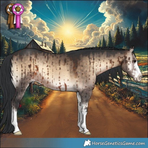 Horse Color:Brown Onyx Brindle 