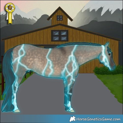 Horse Color:Thunderstruck Brown Dun 