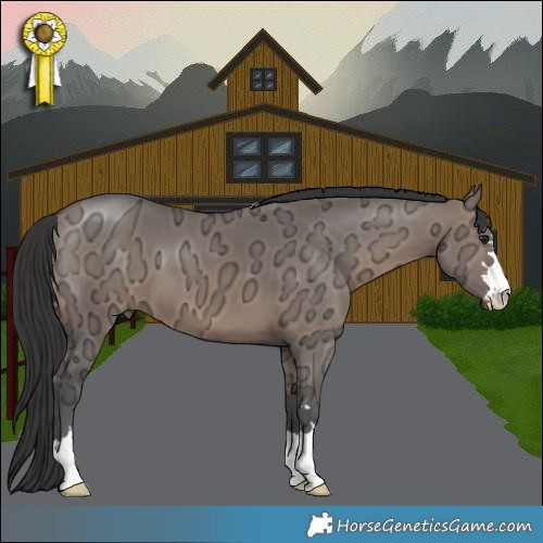 Horse Color:Brown Ice Dun 