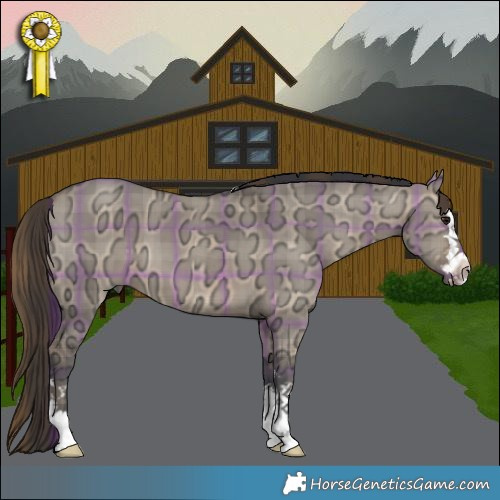 Horse Color:Plaid  Brown Ice Dun 