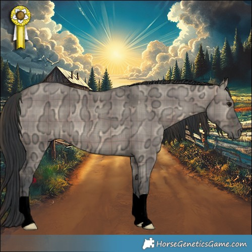 Horse Color:Plaid  Brown Ice Dun 