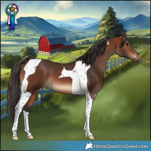 Horse Color:Bay Tobiano 