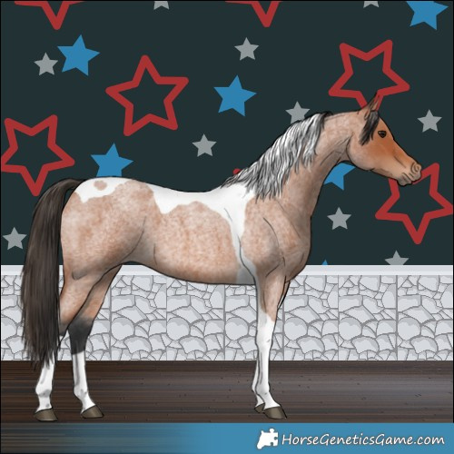 Horse Color:Bay Roan Tobiano 