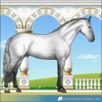Horse Color:Gray Liver Chestnut 
