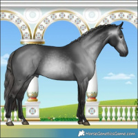 Horse Color:Gray Liver Chestnut 