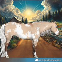 Horse Color:White Spotted Silver Bay Dun Frame 