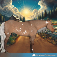 Horse Color:White Spotted Silver Brown Dun 