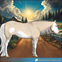Horse Color:Silver Buckskin Roan Dun Splash Frame