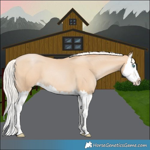 Horse Color:Silver Smoky Black Pearl Splash 