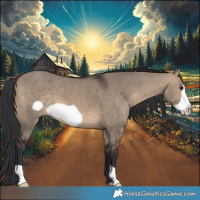Horse Color:Brown Dun Frame 