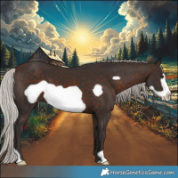 Horse Color:Silver Brown Frame 
