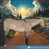 Horse Color:Brown Dun 