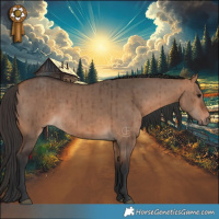 Horse Color:Bay Dun Brindle