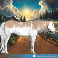 Horse Color:Silver Brown Dun Sabino Splash