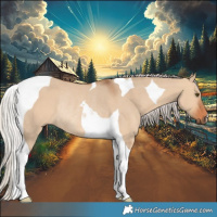 Horse Color:Silver Bay Dun Tobiano Rabicano 